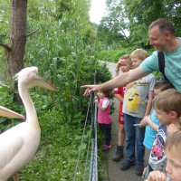 Narresume-Ausflug Basler Zoo